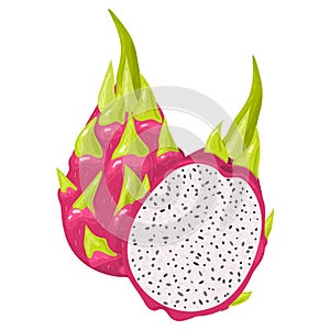 Fresh whole and half red pitaya fruits isolated on white background. Summer fruits for healthy lifestyle. Organic fruit. Cartoon