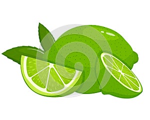 Fresh whole lime, half and lime slice with leaves isolated on white background. Summer fruits for healthy lifestyle. Organic fruit