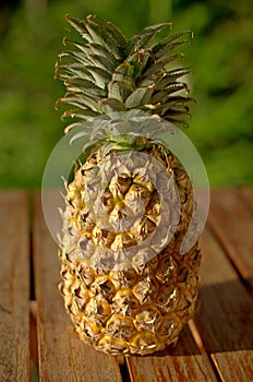 Fresh whole pineapple