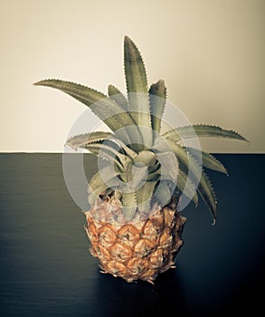 Fresh whole pineapple on a black table near white wall. Toned