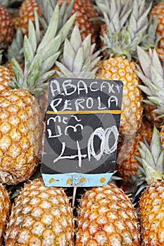 Fresh Whole Pineapple Fruits at Farmers Market Brazil