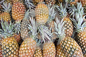 Fresh Whole Pineapple Fruits Farmers Market