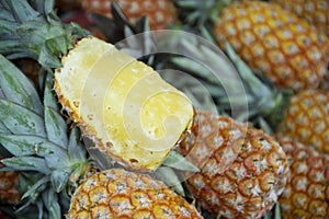 Fresh Whole Pineapple Fruits Farmers Market