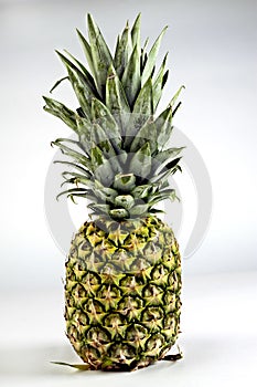 Fresh whole pineapple with great definition