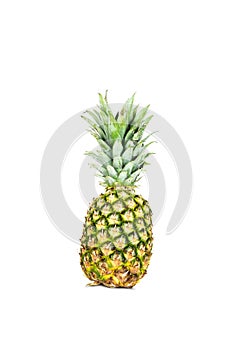 Fresh whole pineapple isolated on white background. Tropical summer fruit.