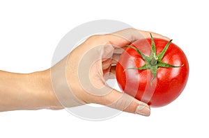 Fresh whole raw red tomato with green leaf and hand, isolated on white background