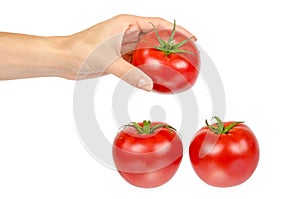 Fresh whole raw red tomato with green leaf and hand, isolated on white background