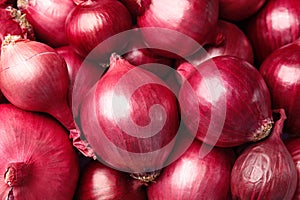 Fresh whole red onions as background