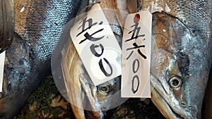 Fresh whole salmon sale in Japanese fish market photo