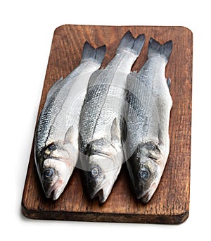 Fresh whole sea bass fish on cutting board isolated on a white