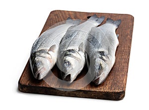 Fresh whole sea bass fish on cutting board  on a white