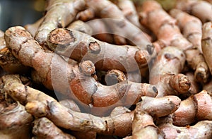 Fresh Whole Tumeric Roots, or Rhizomes photo