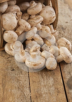 Fresh whole white button mushrooms