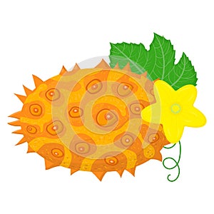 Fresh whole yellow kiwano fruit with leaf and flower isolated on white background. Summer fruits for healthy lifestyle