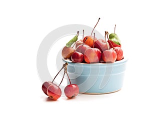 Fresh wild apples in ceramic bowl isolated on white