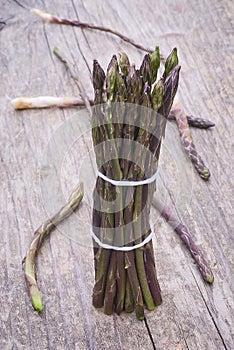 Fresh wild asparagus (Asparagus acutifolius)