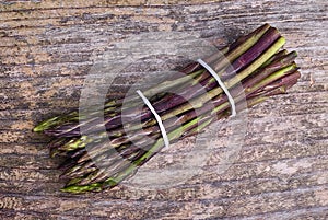 Fresh wild asparagus (Asparagus acutifolius)