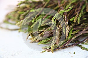 Fresh wild asparagus for background