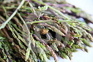 Fresh wild asparagus for background