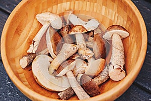 Fresh wild edible mushrooms in wooden plate