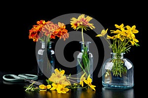 Fresh wild flowers in a glass vase on a dark table. Beautiful colorful flower bouquet