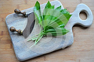 Fresh wild garlic