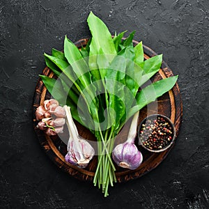 Fresh wild garlic leaves on black background. Wild leek. Top view.