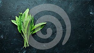 Fresh wild garlic leaves on black background. Wild leek. Top view.