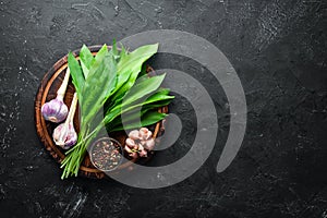 Fresh wild garlic leaves on black background. Wild leek. Top view.