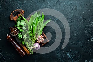 Fresh wild garlic leaves on black background. Wild leek. Top view.