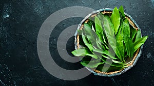 Fresh wild garlic leaves in a wooden box. Wild leek. Top view.