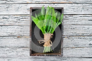 Fresh wild garlic leaves in a wooden box. Wild leek. Top view.