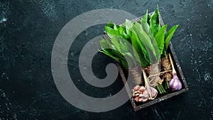 Fresh wild garlic leaves in a wooden box. Wild leek. Top view.