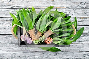 Fresh wild garlic leaves in a wooden box. Wild leek. Top view.