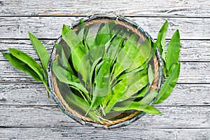 Fresh wild garlic leaves in a wooden box. Wild leek. Top view.