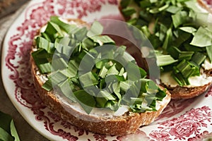 Fresh wild garlic or ramson leaves on a slice of sourdough bread with butter