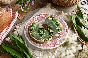 Fresh wild garlic or ramson leaves on two slices of sourdough bread with butter