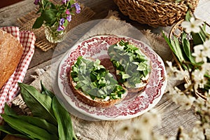 Fresh wild garlic or ramson leaves on two slices of sourdough bread with butter. Wild edible plant