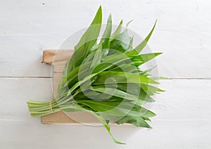 Fresh wild garlic on a wooden board