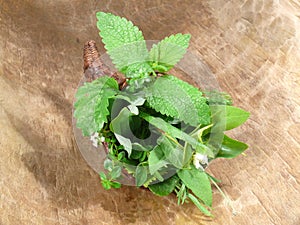 Fresh wild herbs