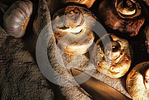 Fresh wild mushrooms lying on the table in the bag