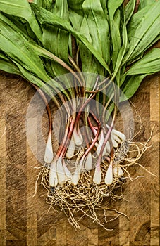 Fresh wild ramps (leeks)