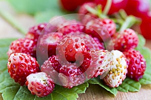 Fresh wild strawberries on the leaf and table, healthy nutrition, close-up macro