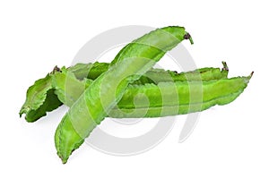 Fresh Winged Beans, Psophocarpus tetragonolobus isolated on whit