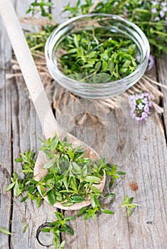 Fresh Winter Savory on a wooden spoon