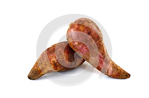 Fresh Yacon roots fruit isolate on white background