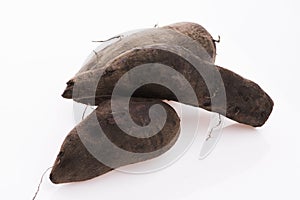 Fresh Yacon roots on white background