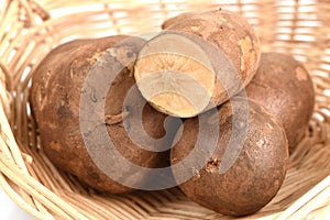 Fresh Yacon roots on white background