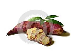 Fresh yams and leaf on a white background.
