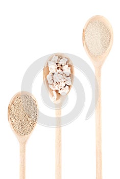 Fresh yeast on wooden spoon